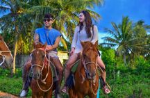 Beach Sunset on Horse Riding in Punta Cana(Private Option)
