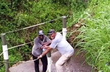 Kereita Forest Adventures and Ziplining