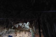 Coba Private Tour Explore Mayan Ruins and Sacred Cenotes