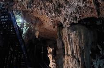 Coba Private Tour Explore Mayan Ruins and Sacred Cenotes