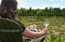 Wanaka Wine Tours with Lunch and Tastings