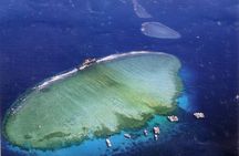 Tiran Island Snorkeling , Diving Cruise & Lunch - Sharm El Sheikh