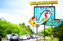 Oahu: Full-Day Circle Island Tour with Beach Stop & Free Wi-Fi