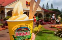 Oahu: Full-Day Circle Island Tour with Beach Stop & Free Wi-Fi