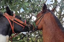 Horseback Tour in cusco to Temple of the Moon & Hidden temples 