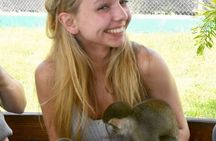 Smile with the Monkeys | Amber Cove and Tayno Bay Cruise port