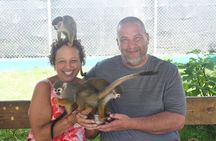 Smile with the Monkeys | Amber Cove and Tayno Bay Cruise port