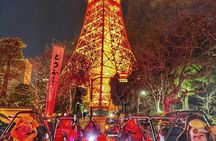 Tokyo Go Kart Tour Shibuya Crossing and Tokyo Tower