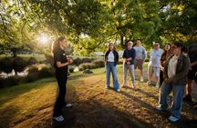 Māori Waka Experience in Christchurch - 45 minutes