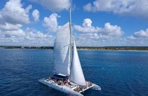 Saona Island Paradise Natural Pool Beach Time and Lunch Tour