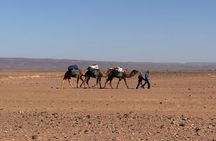 3 Day Private Camel Ride Tour from M'Hamid to Erg Ait Ounir,