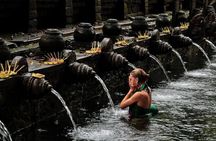 Bali Private Tour: Penglipuran Village, Tegalalang & Waterfalls