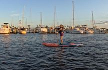 Dolphin and Manatee Paddleboard Adventure in Daytona