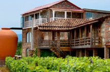 Top 3 Wineries Private Full-Day Guided Tour of the Kakheti Region