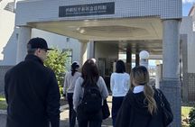 Private 7-hour Tour ; Okinawa Highlights & Hidden Gems
