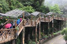 Guangzhou to Qingyuan Gulong Gorge and Dongtian Fairyland Tour
