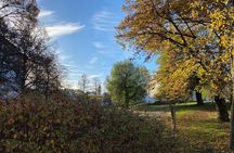 Helsinki and Suomenlinna: Guided Sightseeing and Ferry Ride
