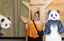 3 Days Highlight Chengdu & Xian Tour by Bullet Train