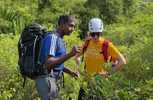 Pieter Both Mountain Hike in Mauritius Small Group Guided Trek