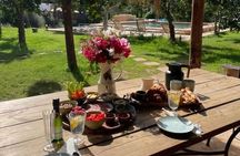 Ibiza: Private Horseback Ride + Picnic Option + Hotel Pick-up