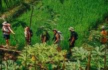 Yogyakarta Multiday Private Program for Senior and Slow Travelers