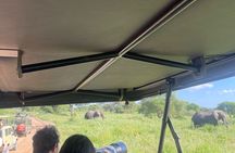 Day Trip to Tarangire National Park Wildlife Safari Adventure