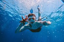 Kamiros Skala: Marine Life Experience