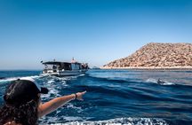 Kamiros Skala: Marine Life Experience