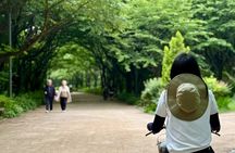 Morning Bike Tour along the Han River with a Local
