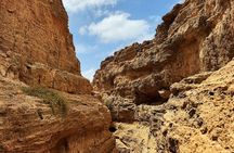 Boa Vista Grand Canyon Hidden Beaches Shipwreck Adventure