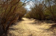Boa Vista Grand Canyon Hidden Beaches Shipwreck Adventure