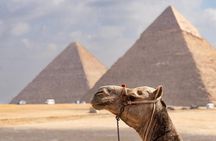 Cairo Pyramids, Sphinx & Museum Day Trip from Sharm El-Sheikh