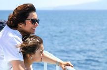 Whale Watch and Turtles Snorkel