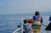 Whale Watch and Turtles Snorkel