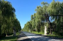 Private Tour Mutianyu Great Wall and Sacred Road with Lunch