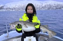 Private Fishing Tour Tromso Open Boat