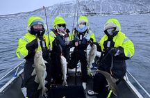 Private Fishing Tour Tromso Open Boat