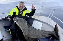 Private Fishing Tour Tromso Open Boat