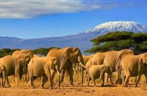 Amboseli National Park 3 Days Safari from Nairobi