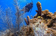 PADI Open Water Diver Certification in San Andres