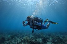 PADI Open Water Diver Certification in San Andres