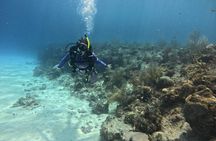 PADI Open Water Diver Certification in San Andres