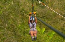 Zipline Activity with Ocean View