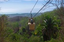 Zipline Activity with Ocean View