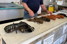 Private Peggy’s Cove and Halifax Highlights Guided Tour