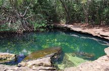 Ancient Cozumel, Mayan Ball Game and Tastings