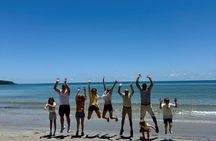 Daintree Rainforest, Mossman Gorge Small-Group from Port Douglas