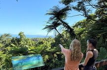 Daintree Rainforest, Mossman Gorge Small-Group from Port Douglas