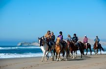 Ensenada ATV and Horseback Riding Combo Adventure
