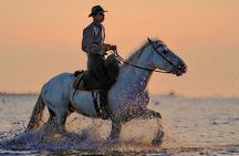 Ensenada ATV and Horseback Riding Combo Adventure